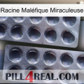 Racine Maléfique Miraculeuse 31